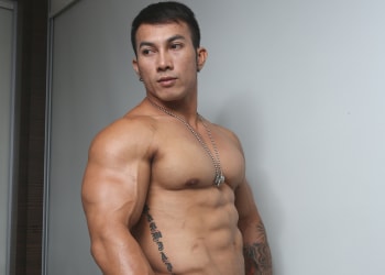 ASIAN PERSUATION